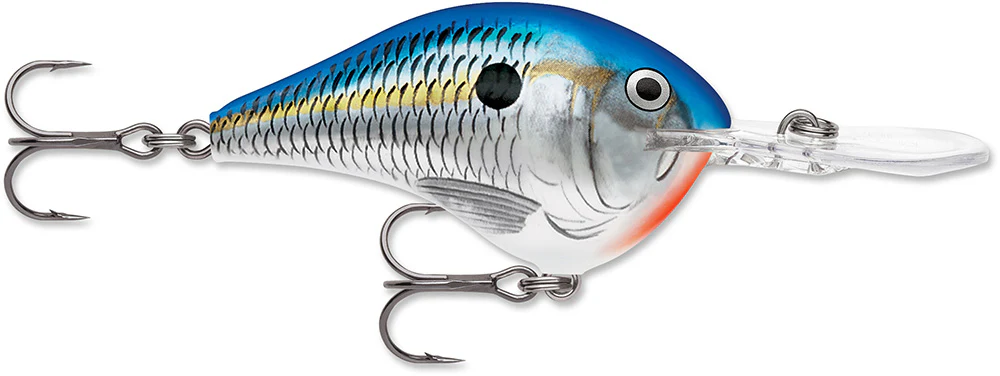 Rapala DT 12 Series Crankbait - 2.25 Inch - Image 5