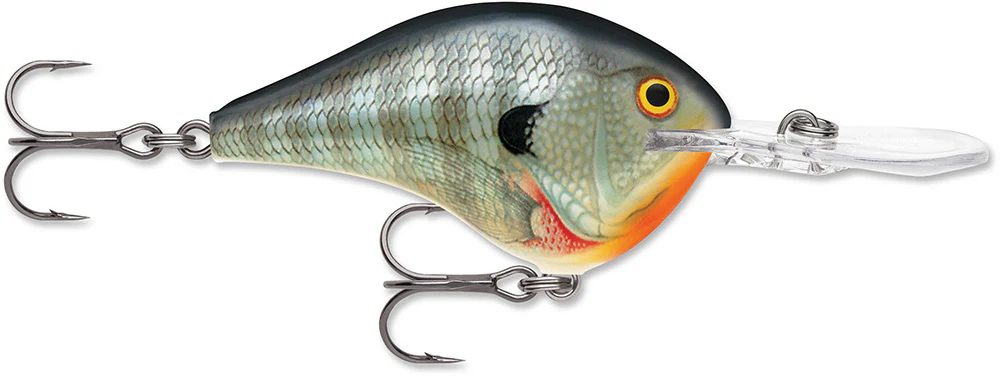 Rapala DT 12 Series Crankbait - 2.25 Inch - Image 6