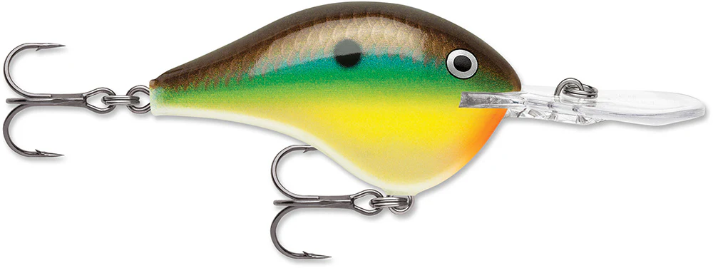 Rapala DT 12 Series Crankbait - 2.25 Inch - Image 7