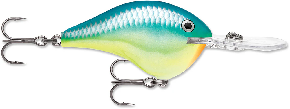 Rapala DT 12 Series Crankbait - 2.25 Inch - Image 8