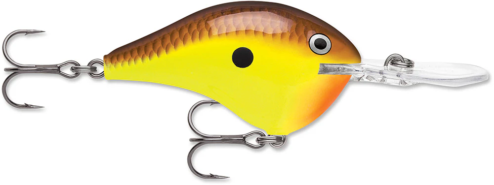 Rapala DT 12 Series Crankbait - 2.25 Inch - Image 9