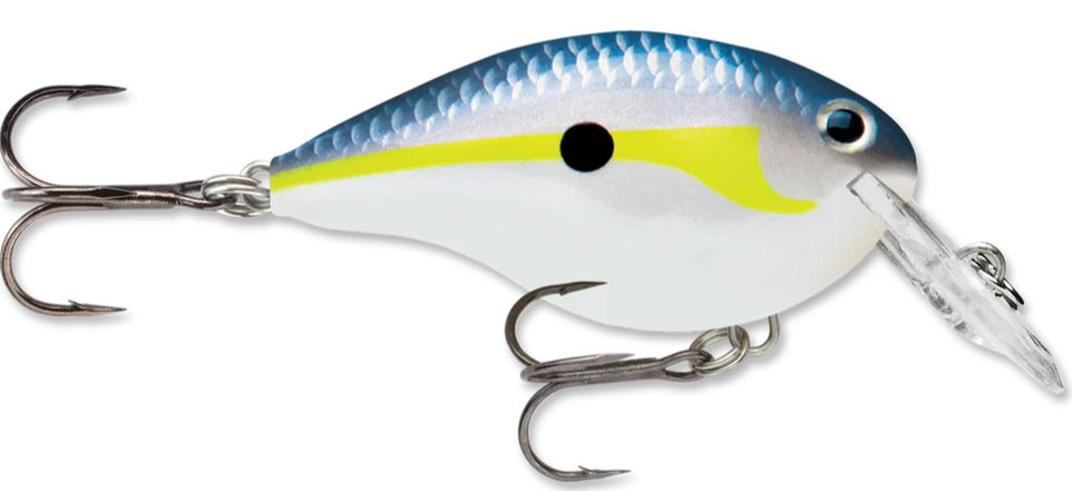 Rapala DT Series Crankbait DT4 - Image 14