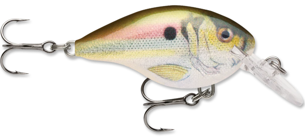 Rapala DT Series Crankbait DT4 - Image 17