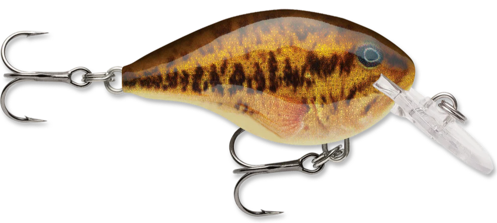 Rapala DT Series Crankbait DT4 - Image 18
