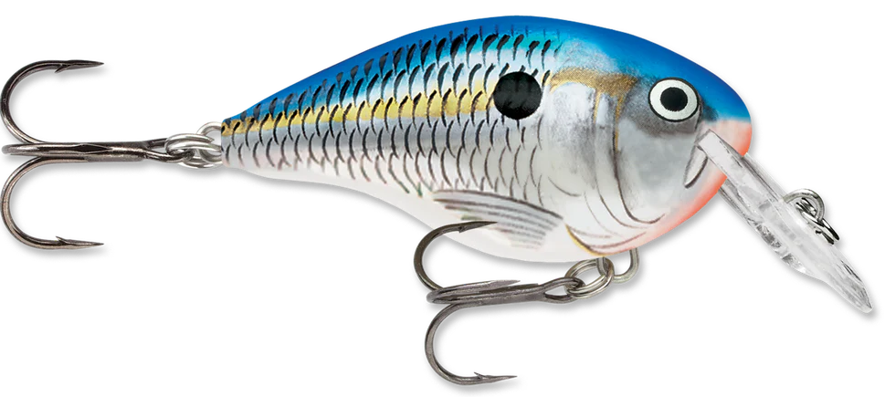 Rapala DT Series Crankbait DT4 - Image 19