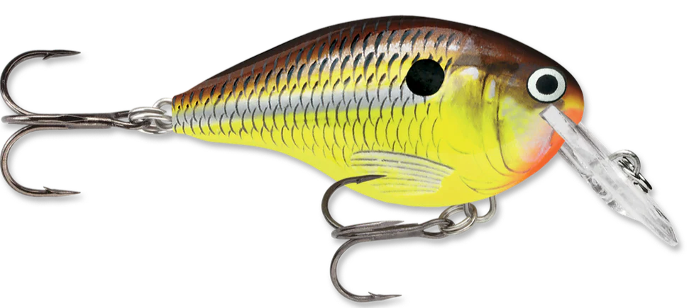 Rapala DT Series Crankbait DT4 - Image 22