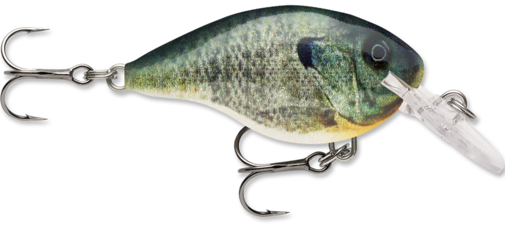 Rapala DT Series Crankbait DT4 - Image 23