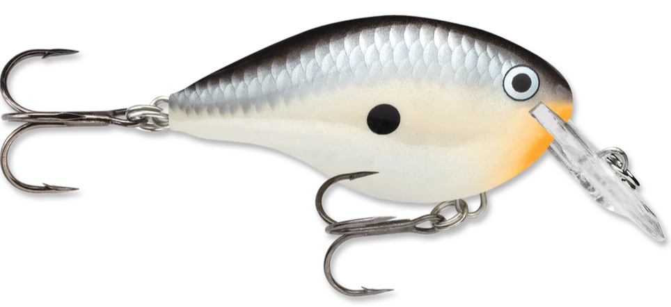 Rapala DT Series Crankbait DT4 - Image 25