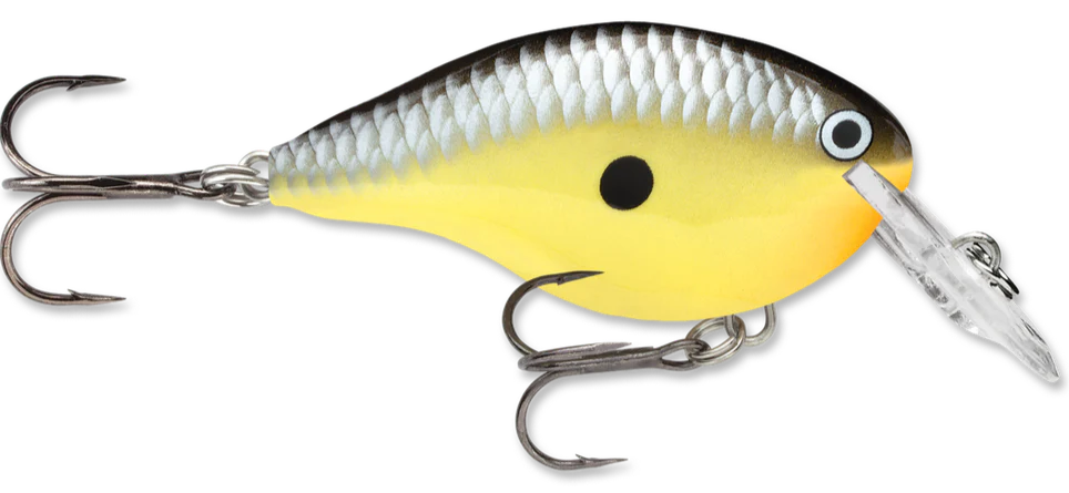 Rapala DT Series Crankbait DT4 - Image 33