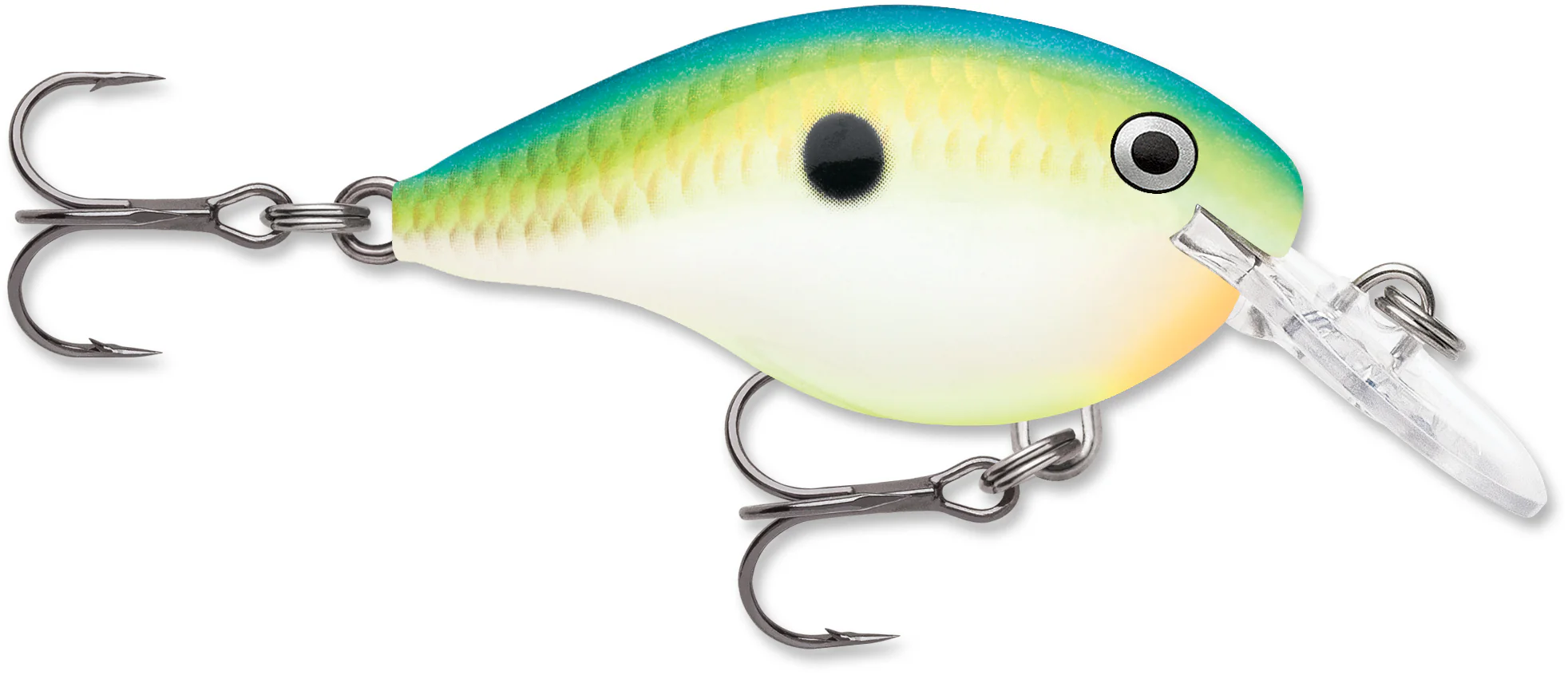Rapala DT Series Crankbait DT4 - Image 42