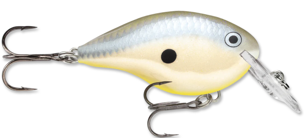 Rapala DT Series Crankbait DT4 - Image 9