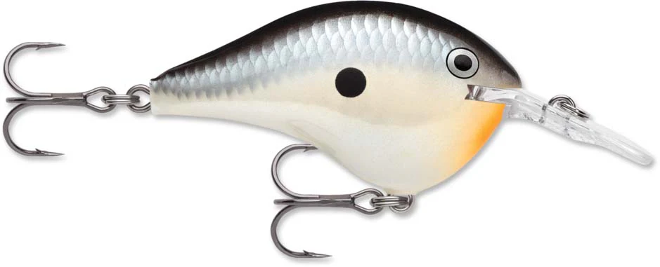 Rapala DT Series Crankbait DT6 - Image 18