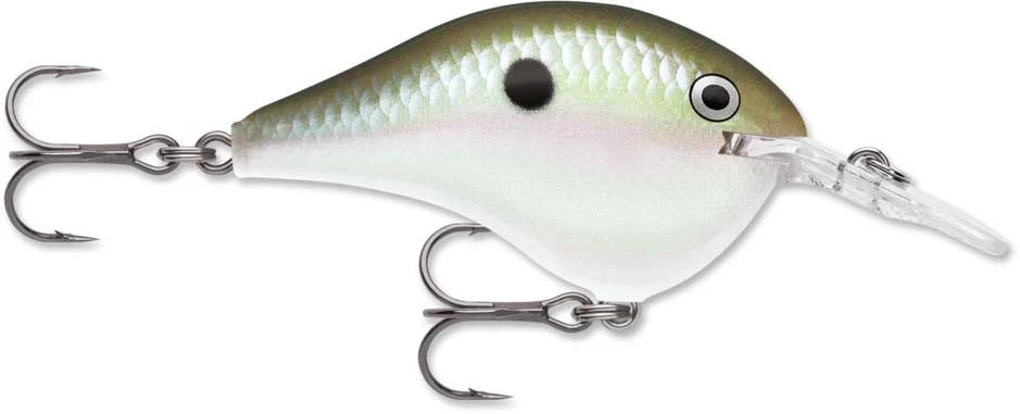 Rapala DT Series Crankbait DT6 - Image 21