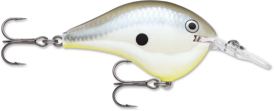 Rapala DT Series Crankbait DT6 - Image 26