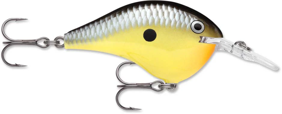 Rapala DT Series Crankbait DT6 - Image 29