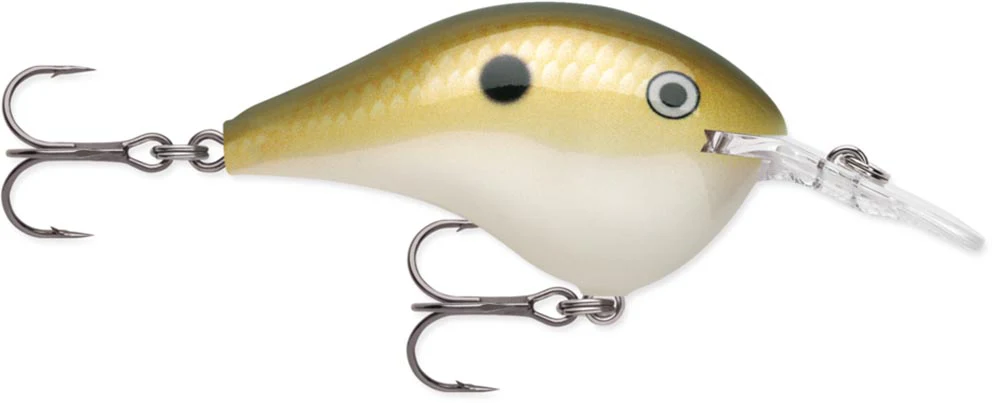 Rapala DT Series Crankbait DT6 - Image 30
