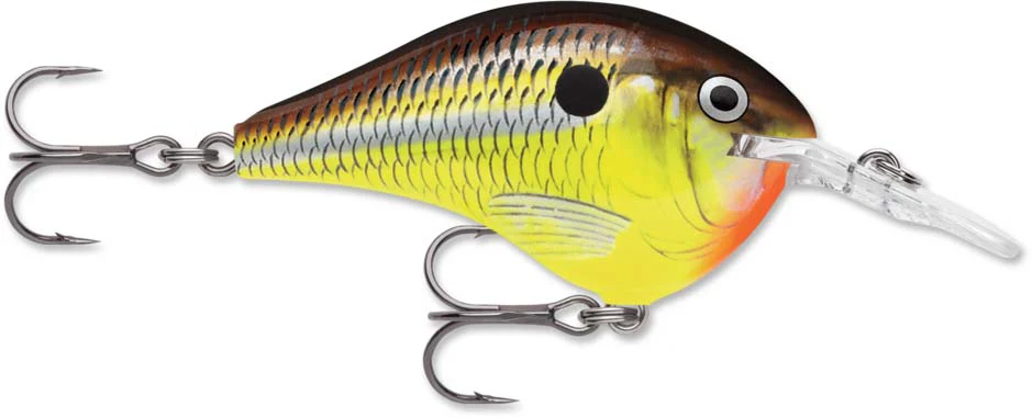 Rapala DT Series Crankbait DT6 - Image 33