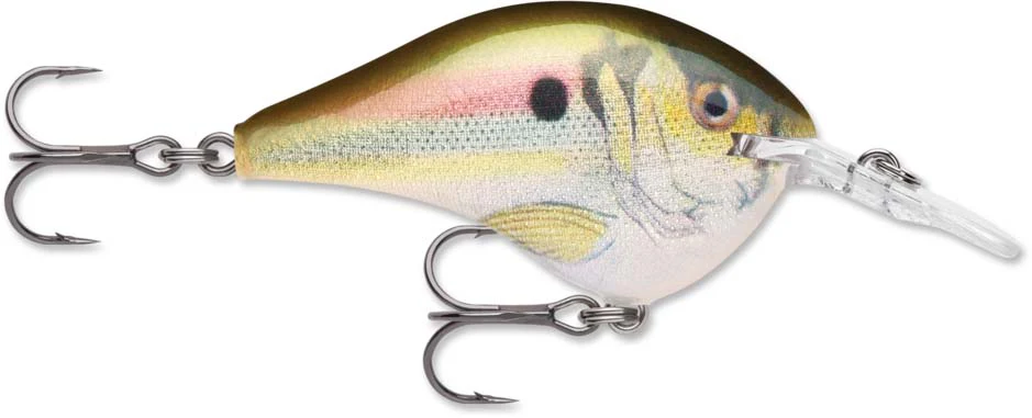 Rapala DT Series Crankbait DT6 - Image 37