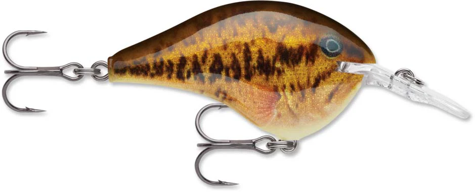 Rapala DT Series Crankbait DT6 - Image 38