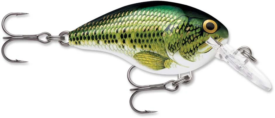 Rapala DT Series Crankbait DT6 - Image 4