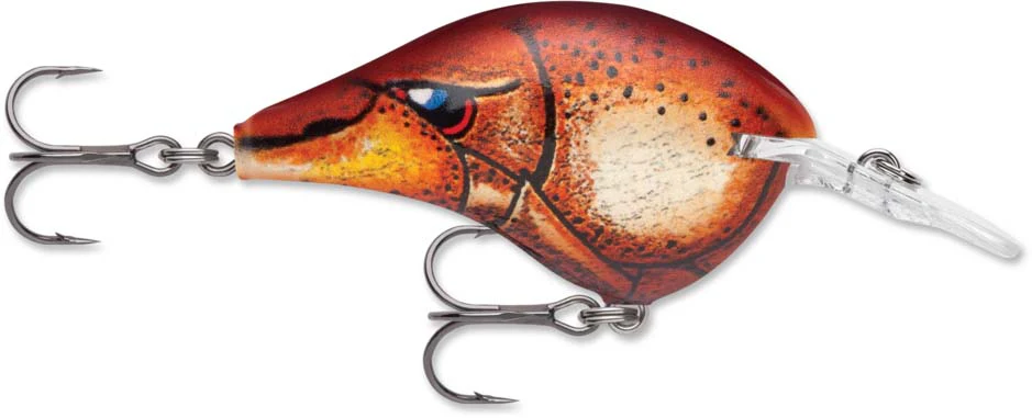 Rapala DT Series Crankbait DT6 - Image 6