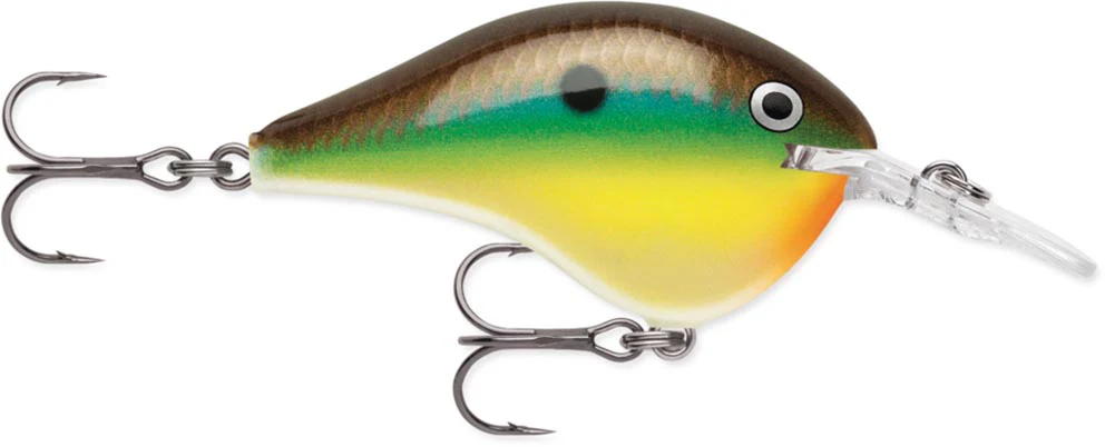 Rapala DT Series Crankbait DT6 - Image 7