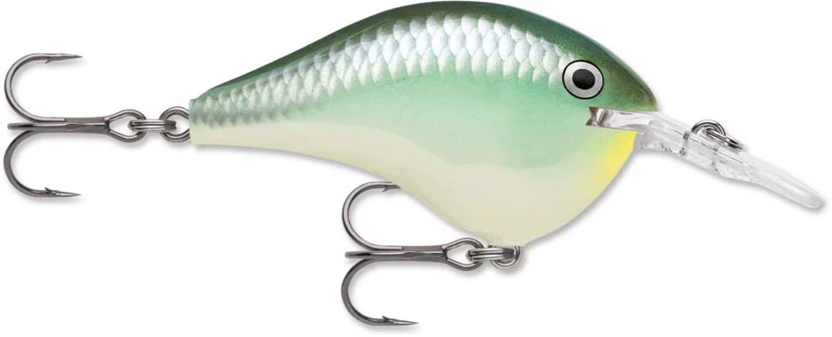Rapala DT Series Crankbait DT6 - Image 8