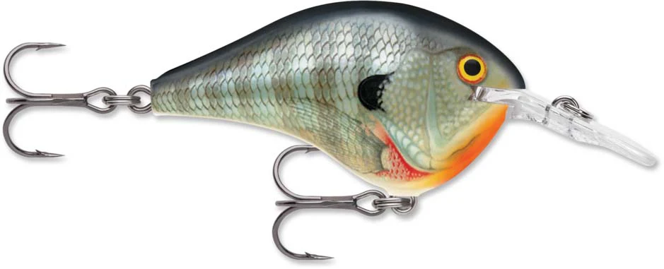 Rapala DT Series Crankbait DT6 - Image 9