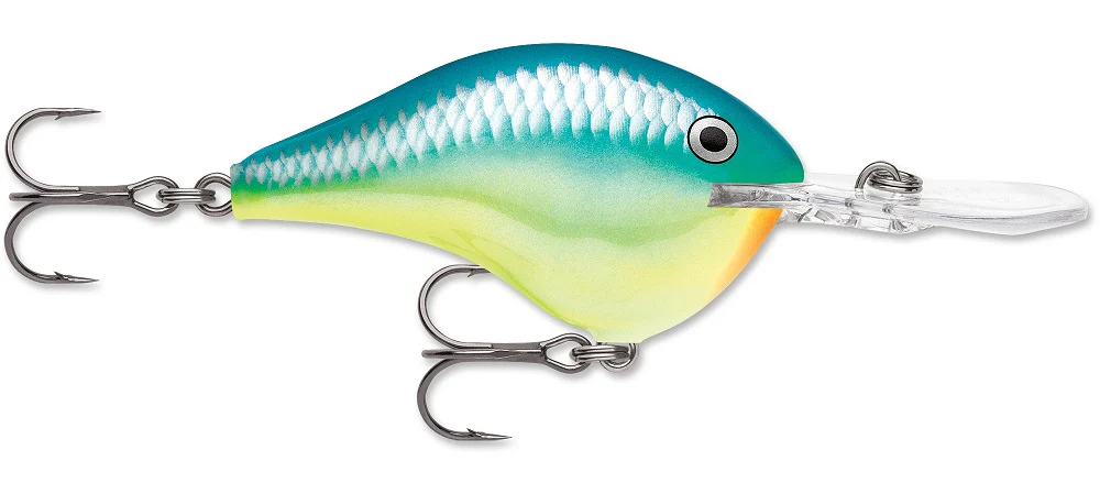 Rapala DT Series Crankbait DT8 - Image 10