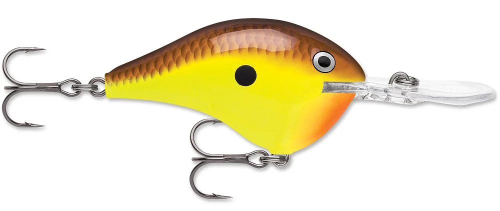 Rapala DT Series Crankbait DT8 - Image 11