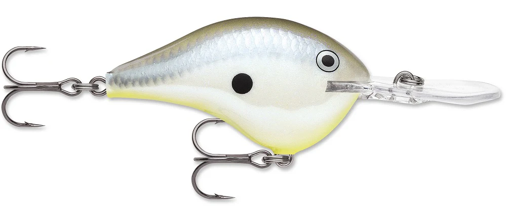 Rapala DT Series Crankbait DT8 - Image 18