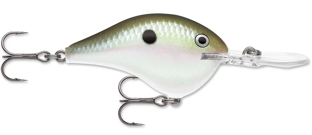 Rapala DT Series Crankbait DT8 - Image 20
