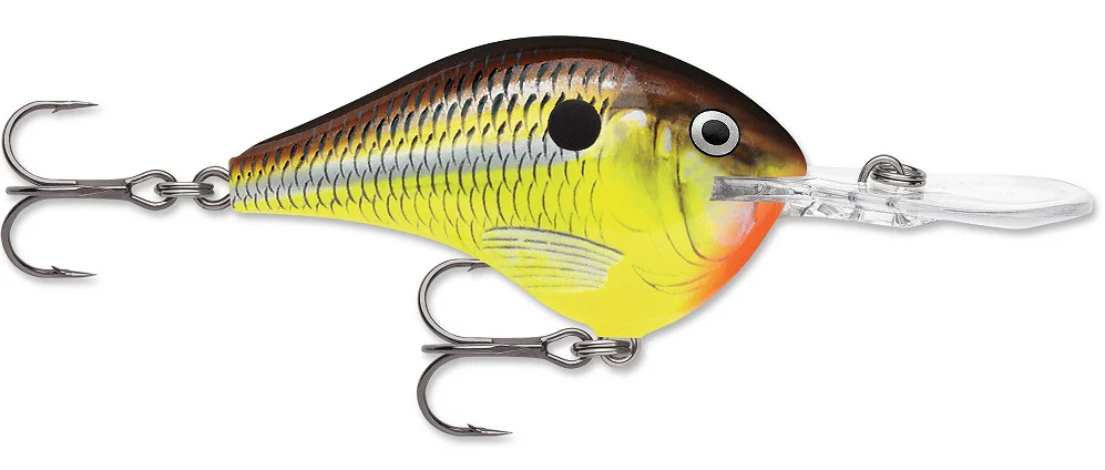 Rapala DT Series Crankbait DT8 - Image 22