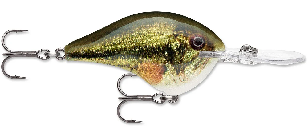 Rapala DT Series Crankbait DT8 - Image 25