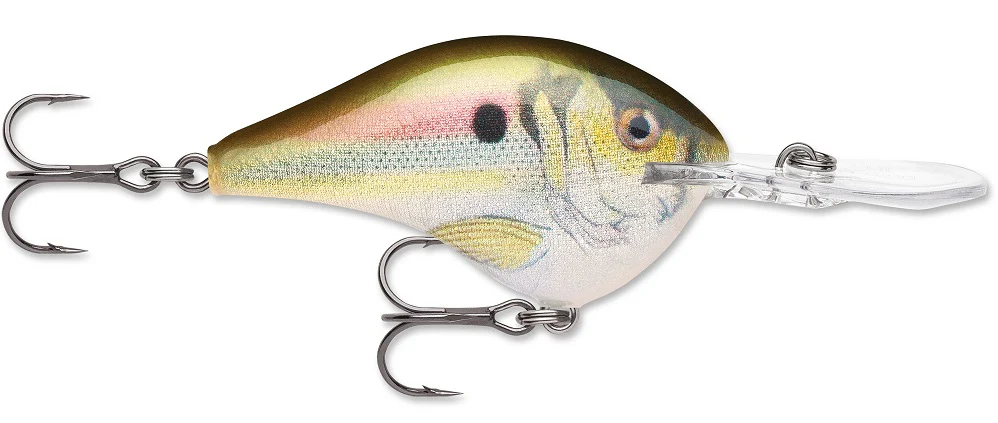 Rapala DT Series Crankbait DT8 - Image 27