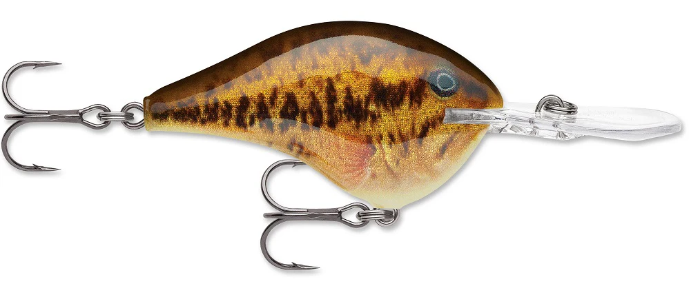 Rapala DT Series Crankbait DT8 - Image 28
