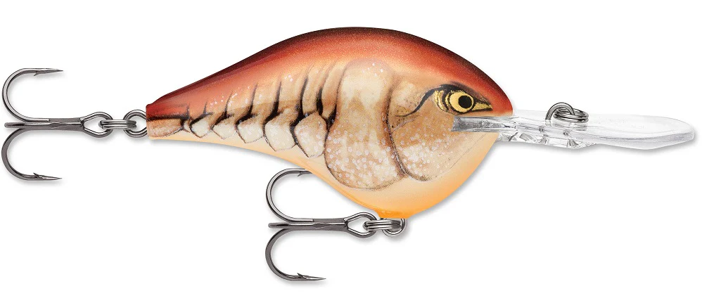 Rapala DT Series Crankbait DT8 - Image 29