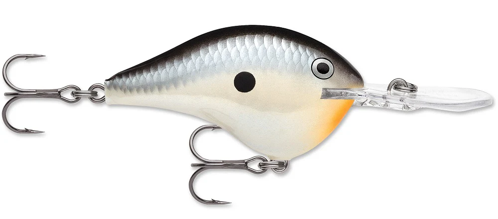 Rapala DT Series Crankbait DT8 - Image 34