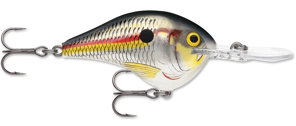 Rapala DT Series Crankbait DT8 - Image 40