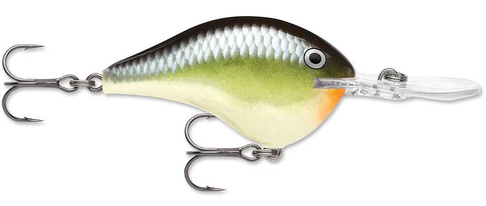 Rapala DT Series Crankbait DT8 - Image 42