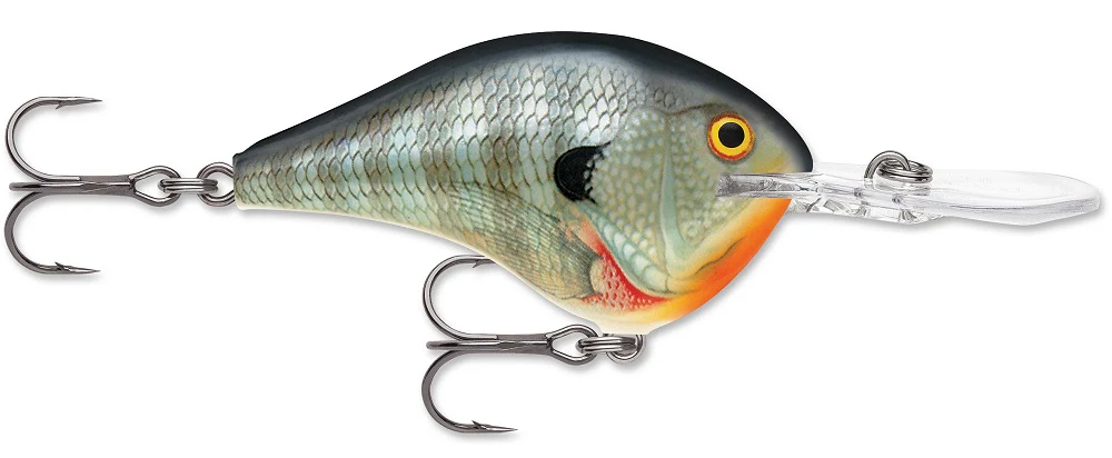 Rapala DT Series Crankbait DT8 - Image 9