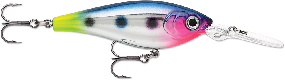 Rapala Harvest Shad 5 Crankbait - 2 Inch - Image 5