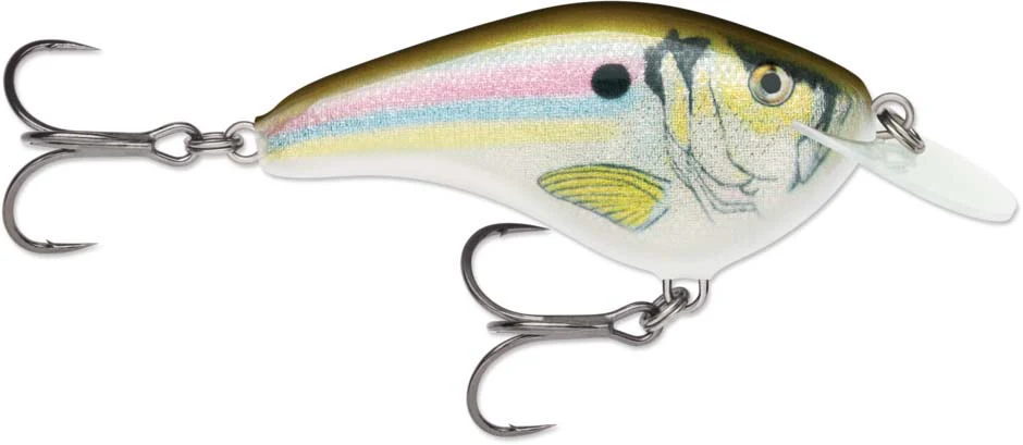 Rapala OG Slim 06 Medium Diving Flat-Sided Crankbait - Image 13