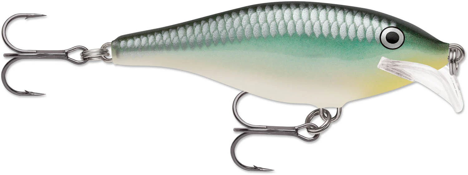 Rapala Scatter Rap Shad 07 Medium Diving Crankbait - Image 3