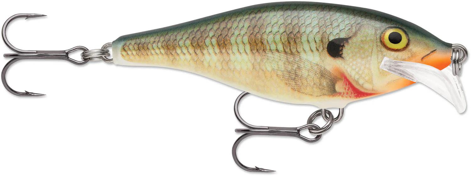 Rapala Scatter Rap Shad 07 Medium Diving Crankbait - Image 4