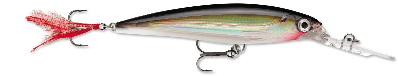 Rapala XR-10 X-Rap Deep Diving Jerkbait - 4 Inch - Image 6