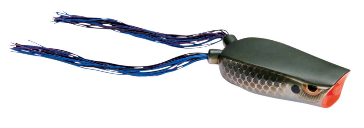 SPRO Dean Rojas Bronzeye Popper 70 Frog - Image 34