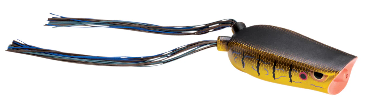 SPRO Dean Rojas Bronzeye Popper 70 Frog - Image 42