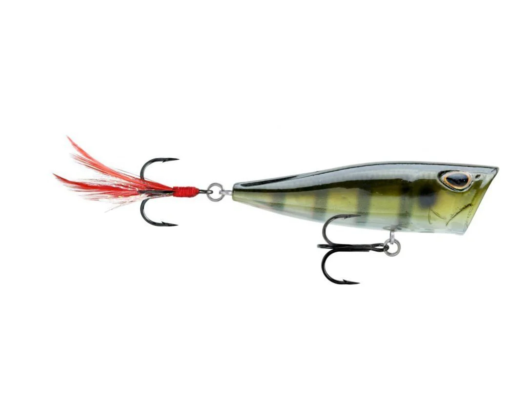 Storm Arashi Cover Pop 3 1/8 inch Topwater Popper - Image 6
