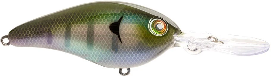 Strike King 8XD Elite Series Crankbait - 5.5 Inch - Image 2